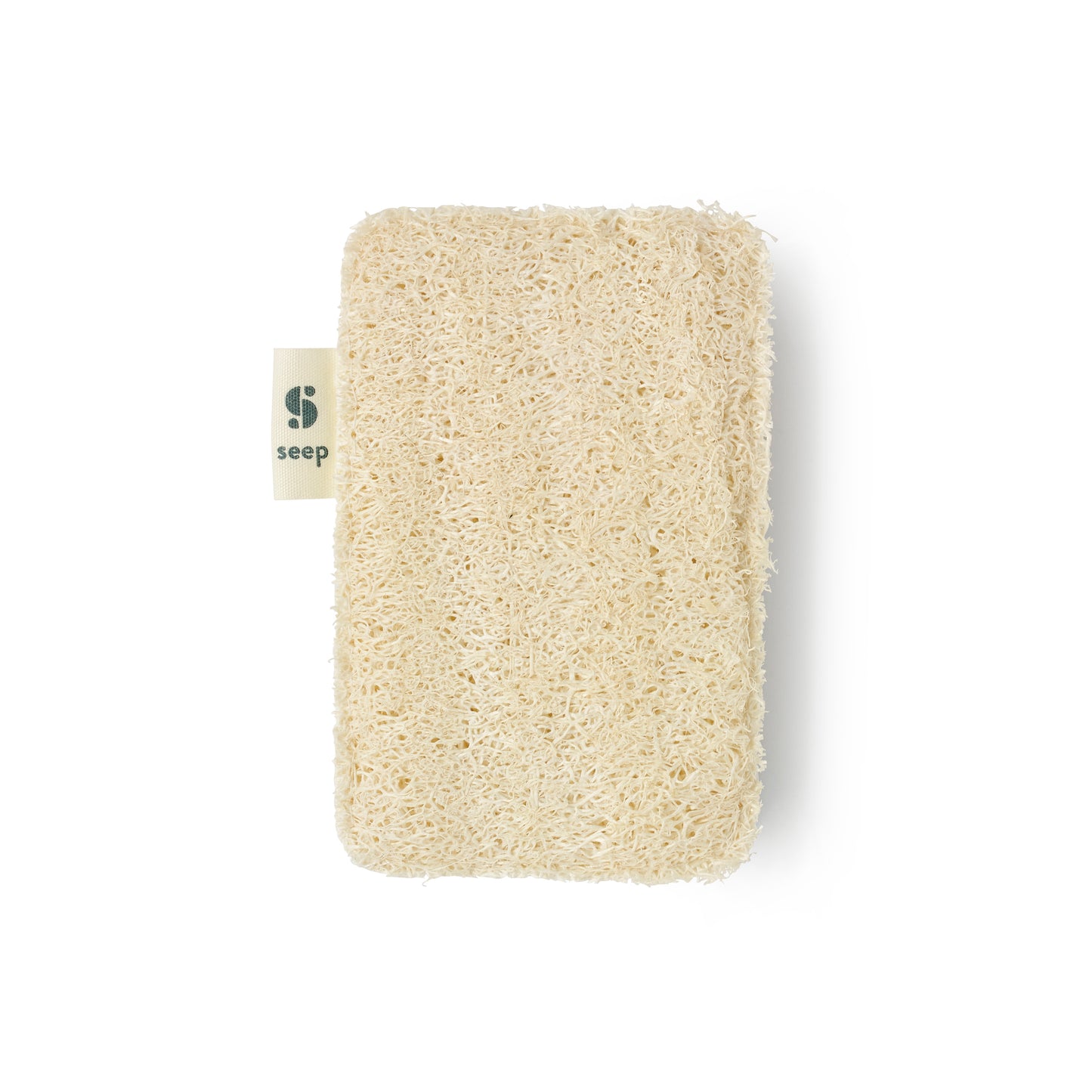 Kitchen Sponge Scourer