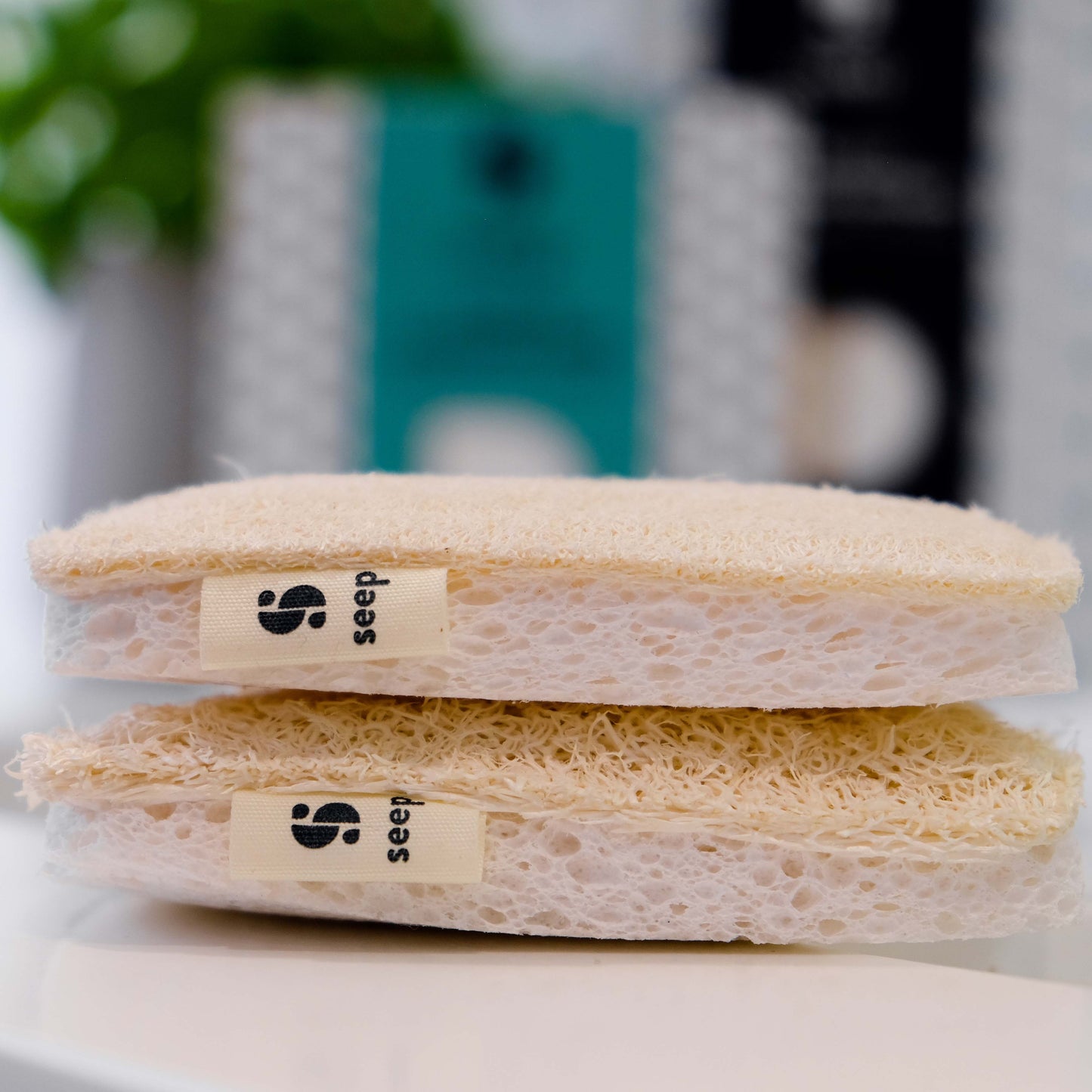 Kitchen Sponge Scourer