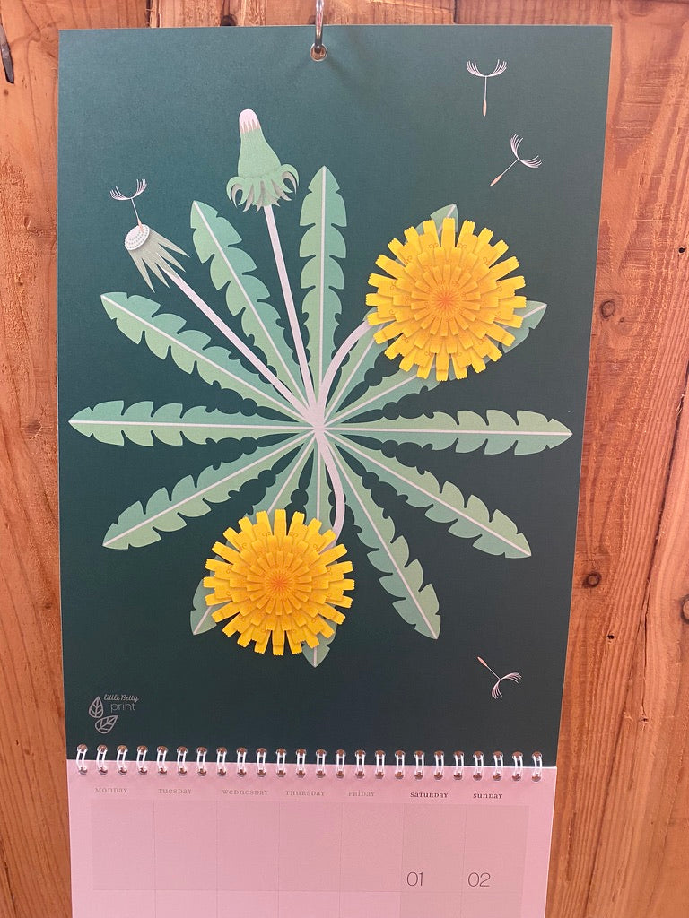 2024 Illustrated Calendar