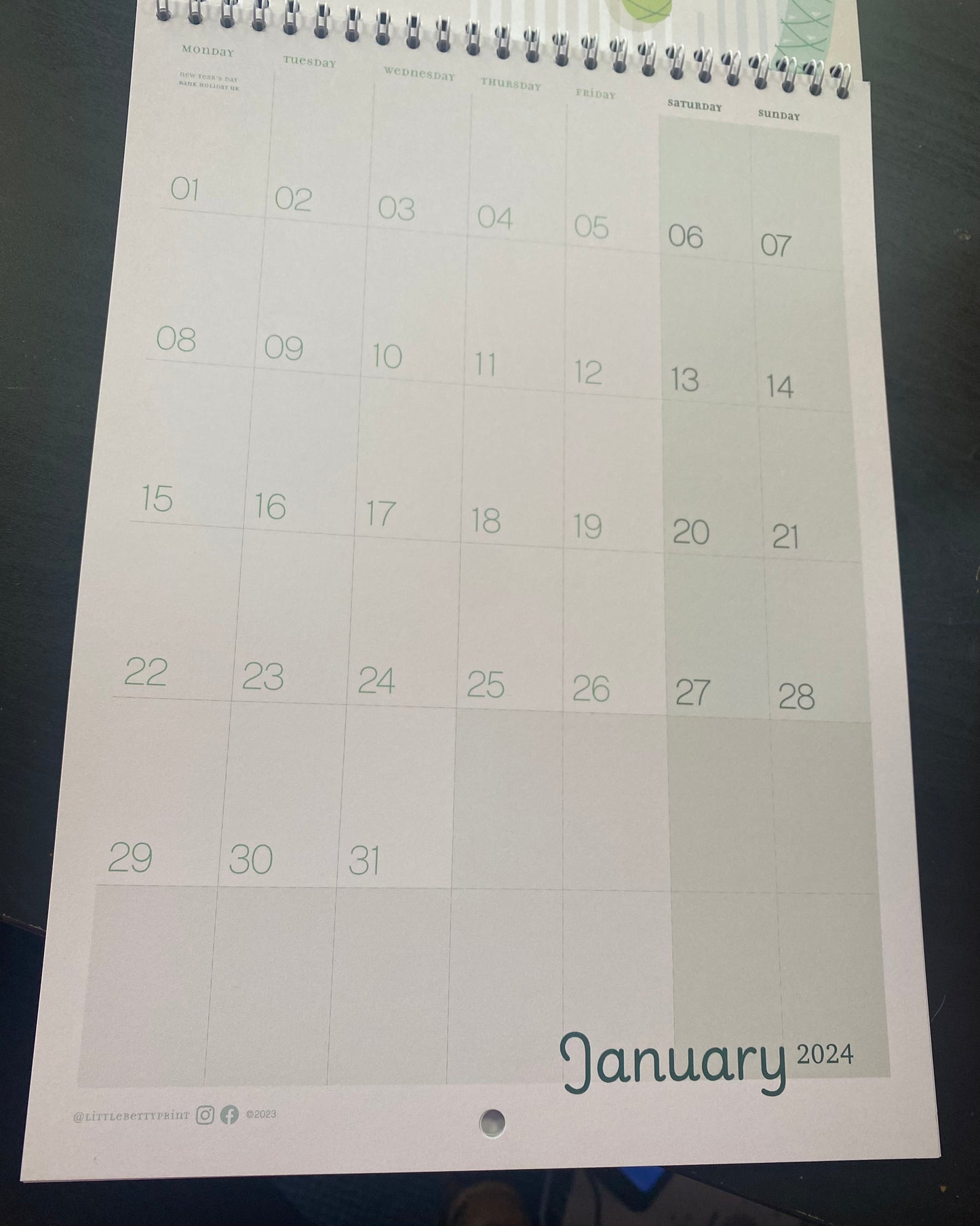 2024 Illustrated Calendar