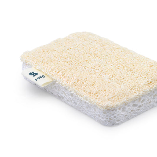 Kitchen Sponge Scourer