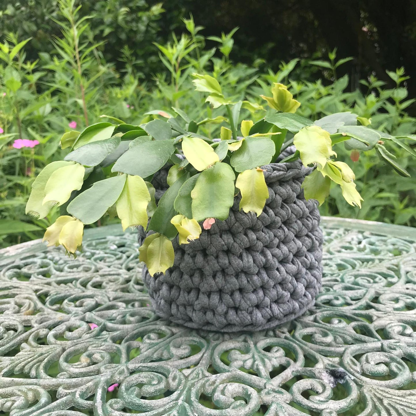 Crochet Baskets Workshop - 8th July 2026, 7pm
