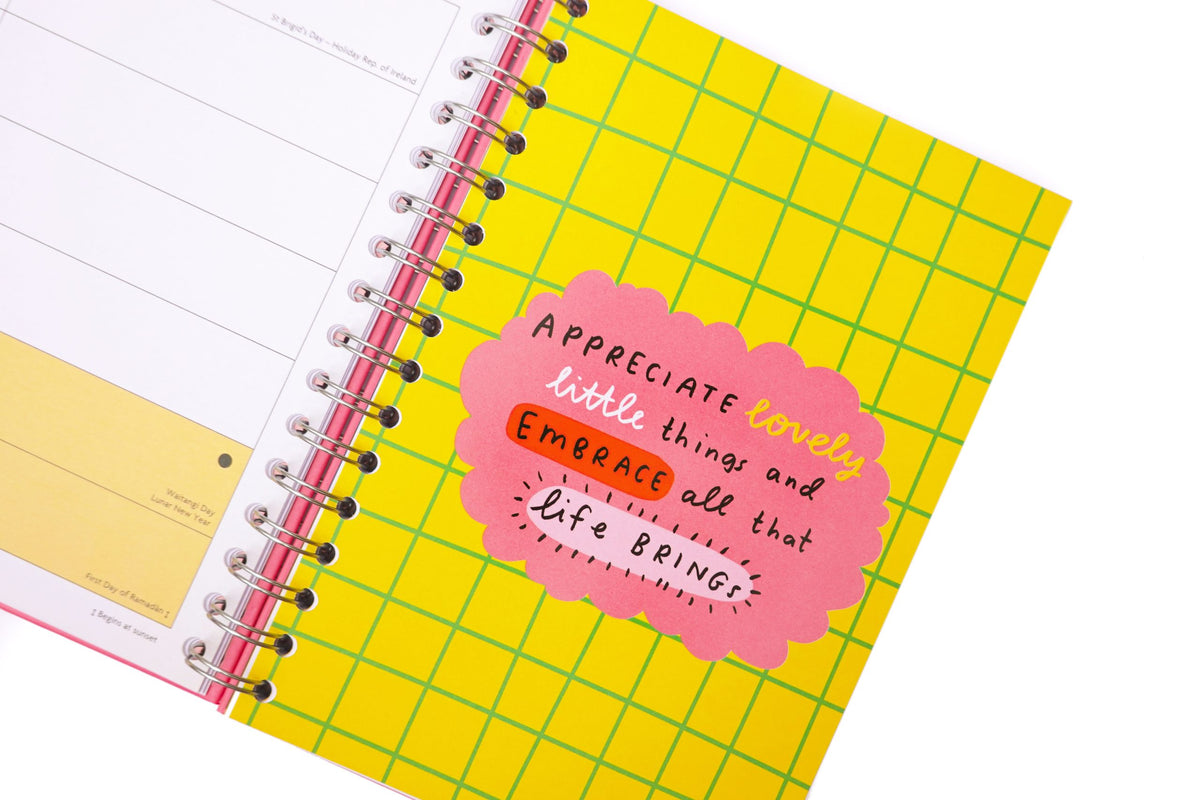 The Happy News Diary 2027