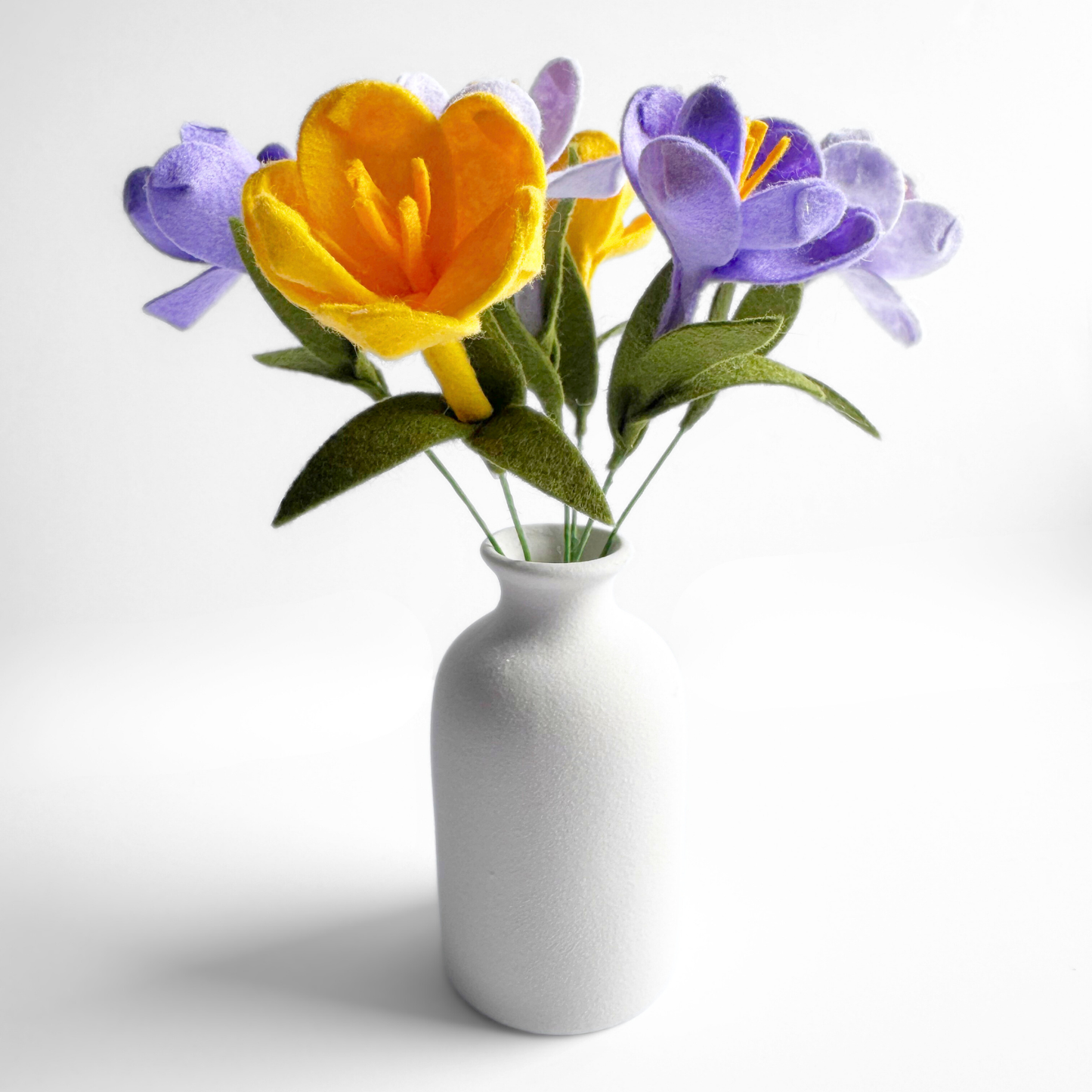 Crocuses Craft Kit