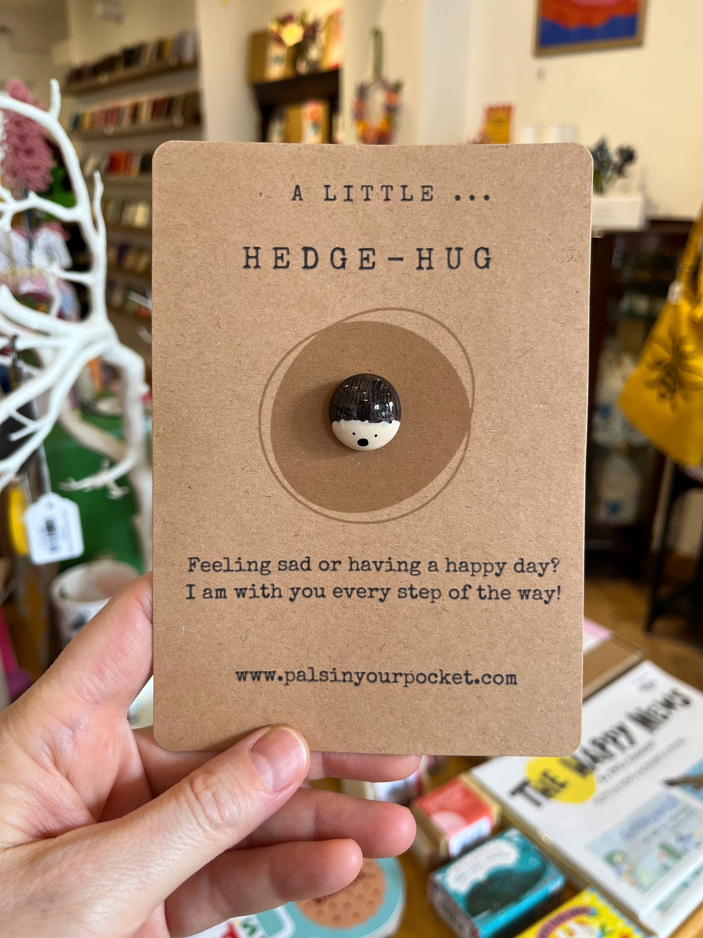 Hedgehog Pocket Pebble